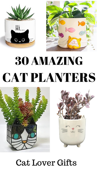 30 Amazing Cat Planters From Amazon