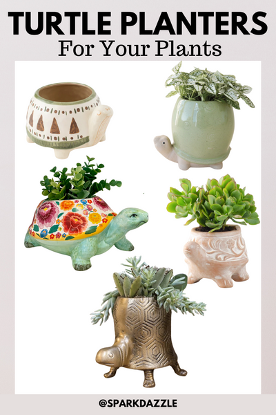 Adorable Turtle Planter for Your Plants!