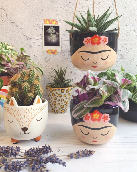 Cute Indoor Planters & Pots