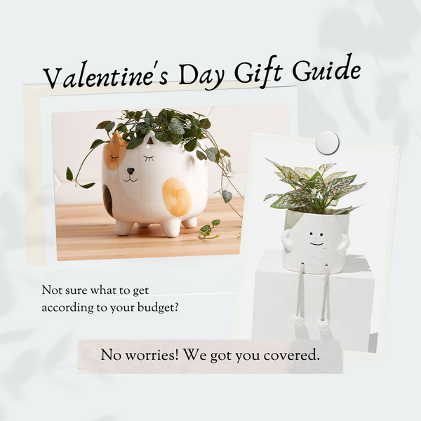 Valentines Day 2024 Gift Guide