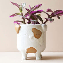 Load image into Gallery viewer, Dog Planter Pot
