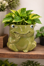 Load image into Gallery viewer, Green Frog Planter Pot
