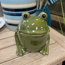 Load image into Gallery viewer, Green Frog Planter
