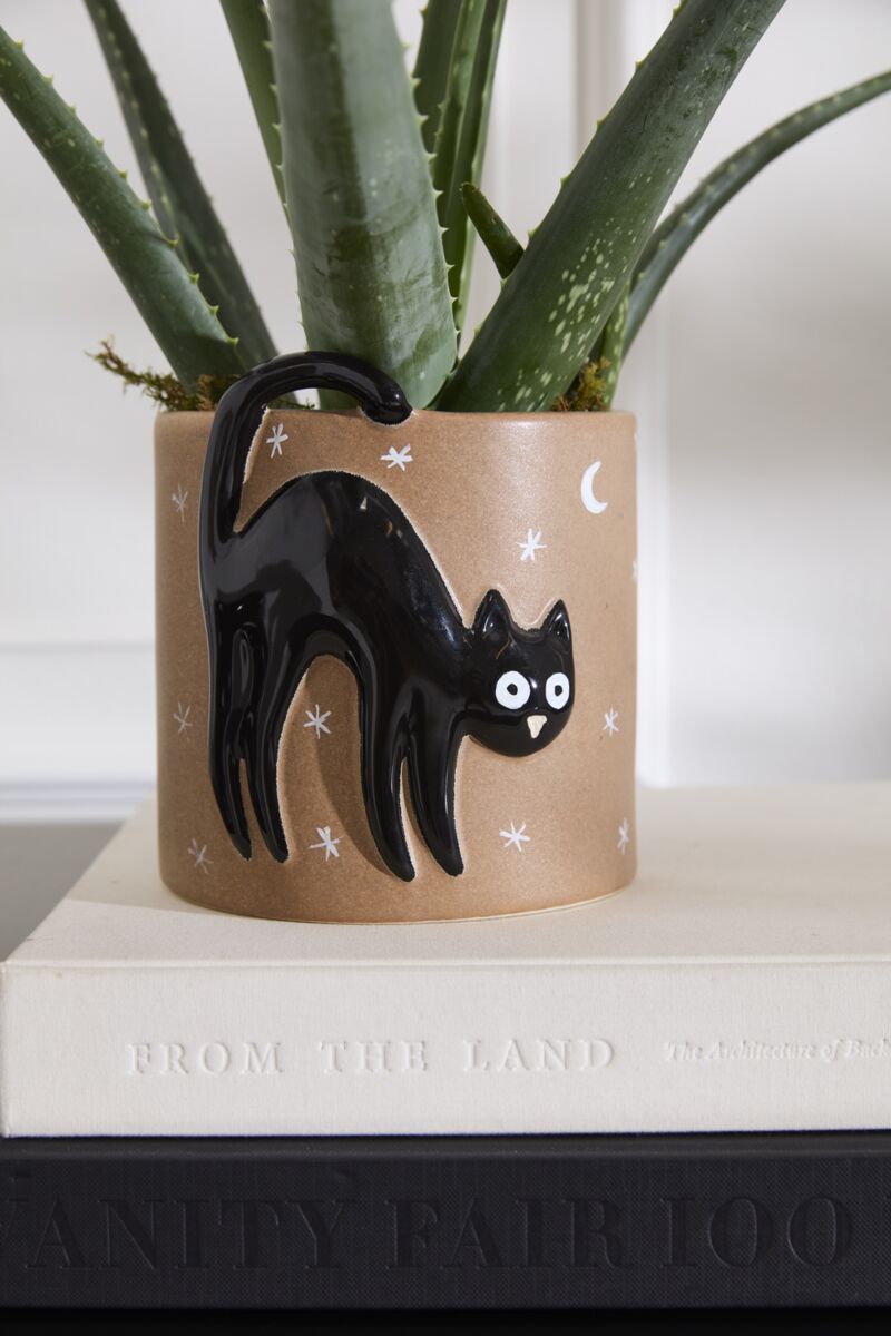 cat plant pot Halloween Black Cat Planter