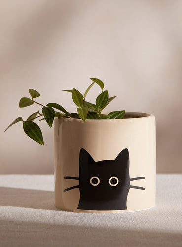 Black Cat Planter Pot