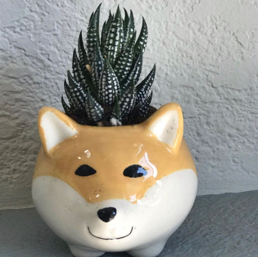 Corgi Planter Pot