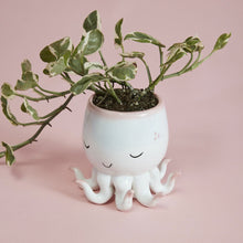 Load image into Gallery viewer, Octopus Planter Pot
