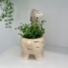 Load image into Gallery viewer, Ceramic Llama Planter Pot
