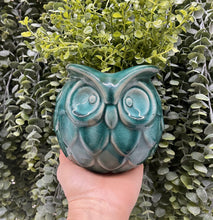 Load image into Gallery viewer, Owl Planter Pot
