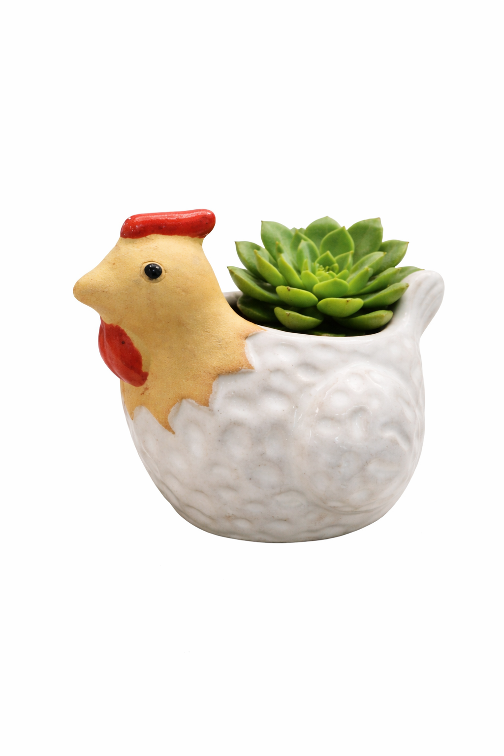 chicken plant pot Chicken Planter Pot – SparkDazzle