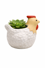 Load image into Gallery viewer, Chicken Planter Pot
