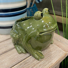 Load image into Gallery viewer, Green Frog Planter

