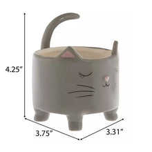 Load image into Gallery viewer, Grey Cat Planter Pot for Succulents &amp; Plants
