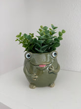 Load image into Gallery viewer, Green Frog Planter Pot
