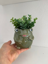 Load image into Gallery viewer, Green Frog Planter Pot
