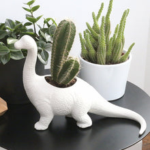 Load image into Gallery viewer, Dinosaur Planter Pot
