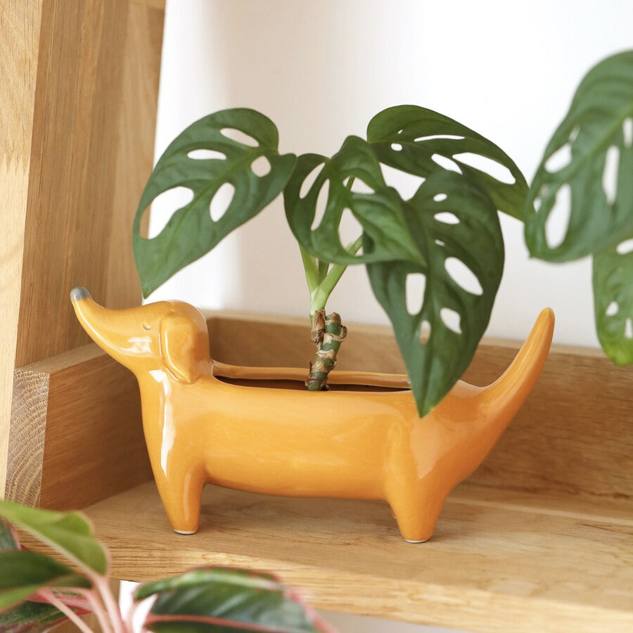 dachshund planter pot Orange Dachshund Weiner Dog Planter
