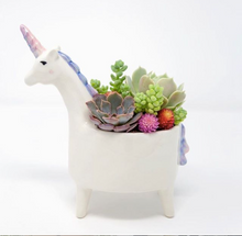 Load image into Gallery viewer, Unicorn Planter Pot
