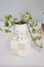 Load image into Gallery viewer, Octopus Planter Pot
