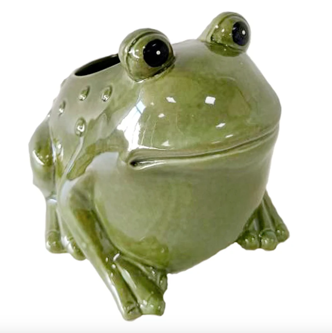 Green Frog Planter