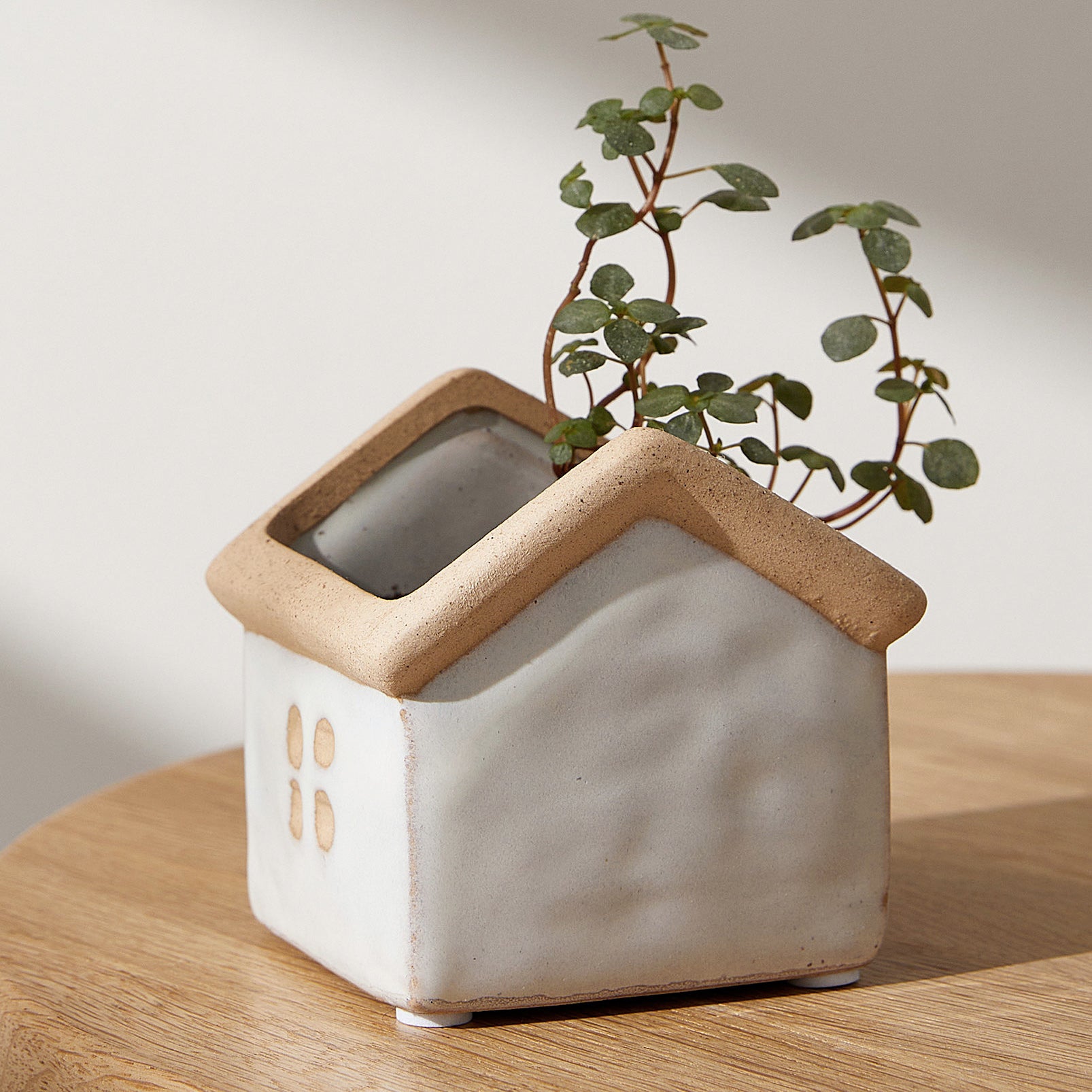 Little House Planter – SparkDazzle