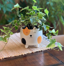 Load image into Gallery viewer, Spotted Calico Cat Planter
