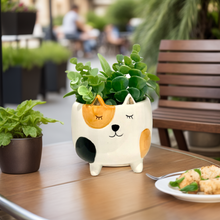 Load image into Gallery viewer, Spotted Calico Cat Planter
