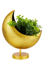 Load image into Gallery viewer, Gold Standing Moon Planter Pot
