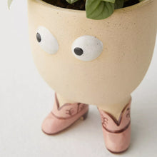 Load image into Gallery viewer, Googly Eyes Face Planter Pot
