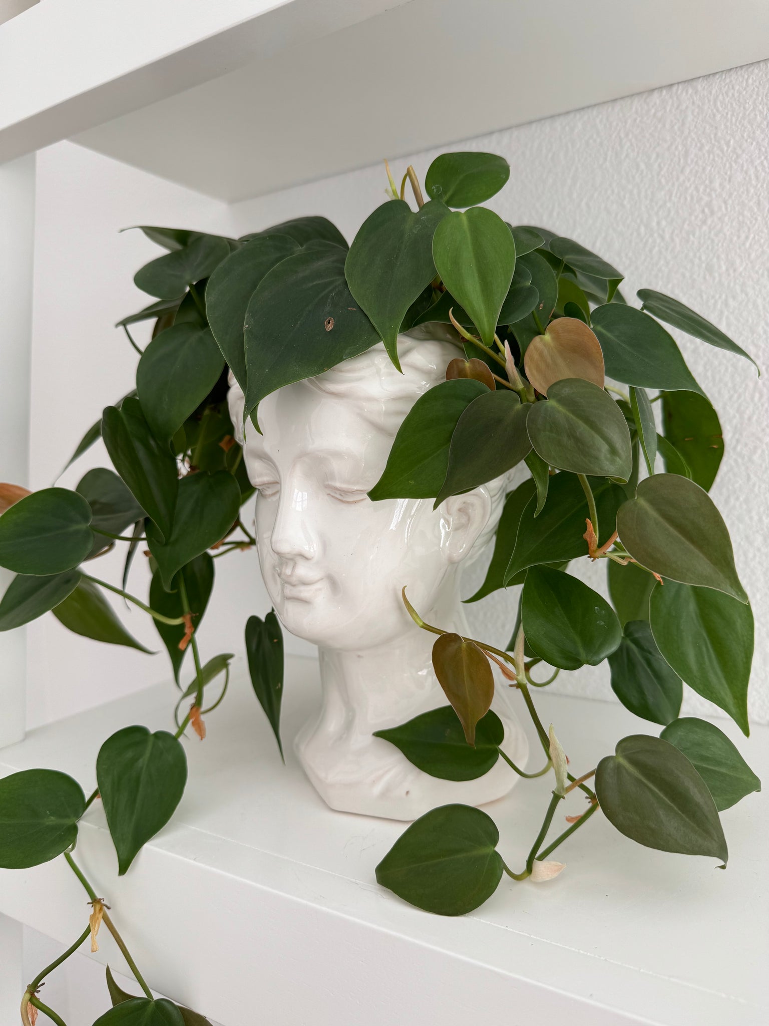 goddess planter pot White Grecian Bust Goddess Planter Pot – SparkDazzle