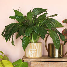 Load image into Gallery viewer, Today Is A Good Day Planter Pot
