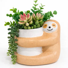 Load image into Gallery viewer, Large Hugging Sloth Planter Pot for Succulents &amp; Plants
