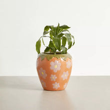 Load image into Gallery viewer, Strawberry Daisy Floral Planter Pot
