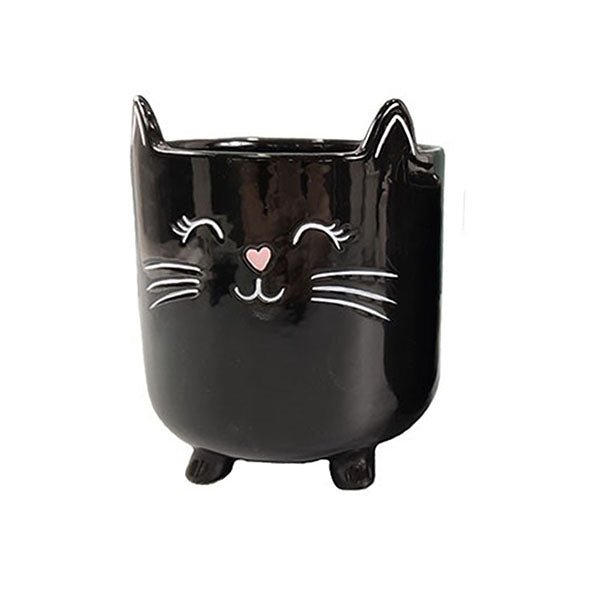 Cat Planter Pot With Ears & Whiskers for Succulents, Flowers, Herbs or Plants
