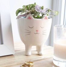 Load image into Gallery viewer, White Standing Cat Planter

