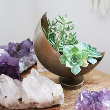 Load image into Gallery viewer, Sass &amp; Belle Gold Moon Planter
