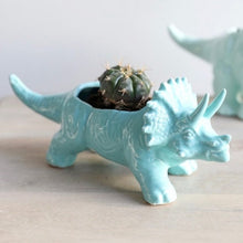 Load image into Gallery viewer, Blue Triceratops shaped plant

