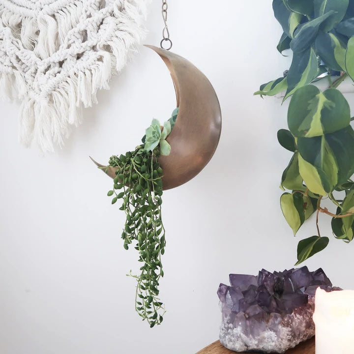 crescent moon hanging planter Hanging Metal Moon Planter