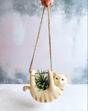 Load image into Gallery viewer, Sass &amp; Belle Hanging Cat Planter
