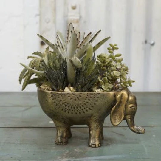 succulent elephant pot Metal Elephant Planter