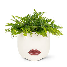 Load image into Gallery viewer, Red Lips Planter Pot
