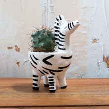 Load image into Gallery viewer, Untamed Zebra Planter
