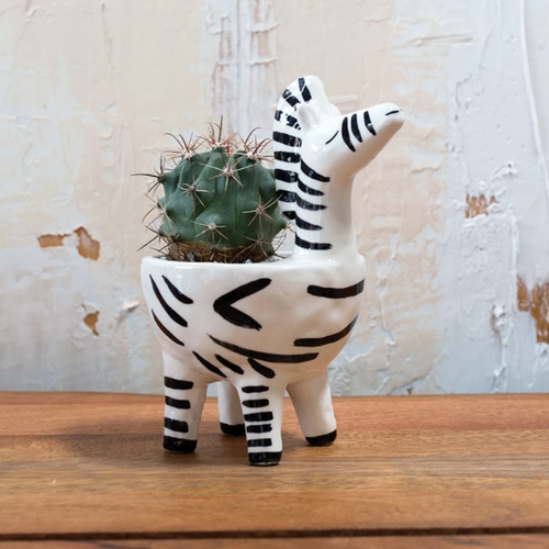 Untamed Zebra Planter