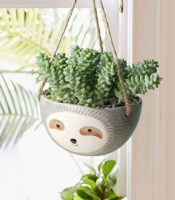 sloth succulent pot Sloth Hanging Bowl Planter Pot for Succulents & Plants