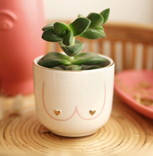 Load image into Gallery viewer, Boobies Planter Pot for Plants, Succulents &amp; flowers
