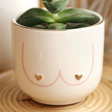 Load image into Gallery viewer, Boobies Planter Pot for Plants, Succulents &amp; flowers
