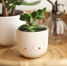 Load image into Gallery viewer, Boobies Planter Pot for Plants, Succulents &amp; flowers

