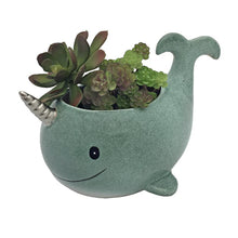 Load image into Gallery viewer, Large Blue Narwhal Whale Planter Pot for Plants &amp; Succulents
