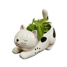 Load image into Gallery viewer, White &amp; Black Spot Stretching Kitty Planter
