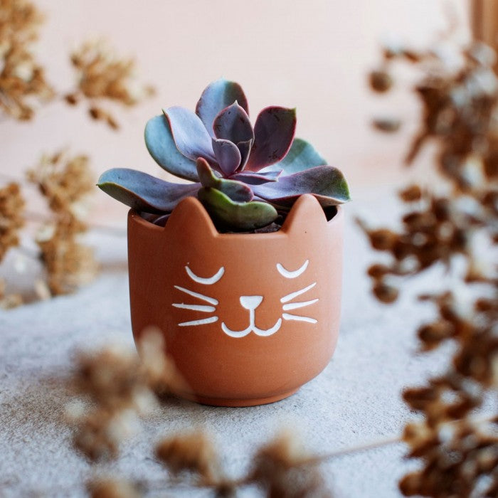 Sass & Belle Terracotta Cat Planter